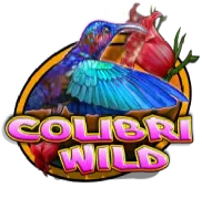 Colibri Wild на Champion
