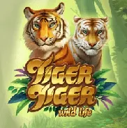 Tiger Tiger на Champion